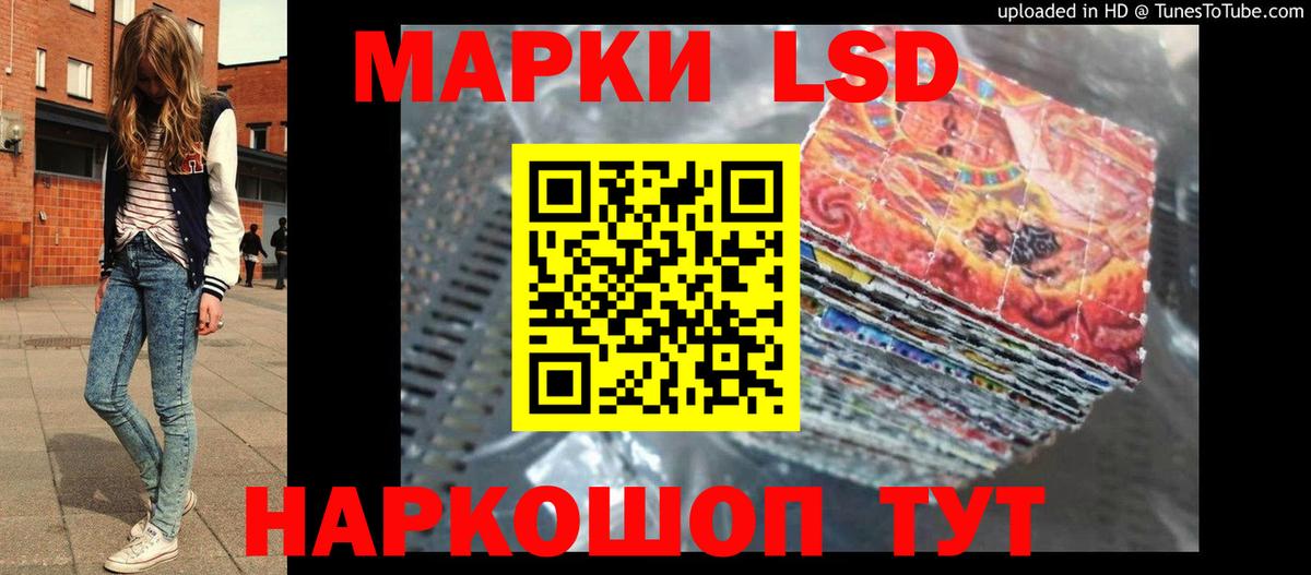 ЛСД экстази  Вход с VPN  Камышлов  Лсд 25 экстази ecstasy  LSD-25 экстази ecstasy 