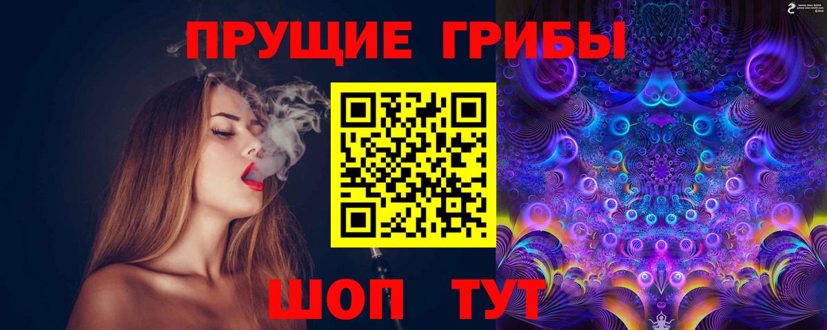 Галлюциногенные грибы Psilocybe Камышлов