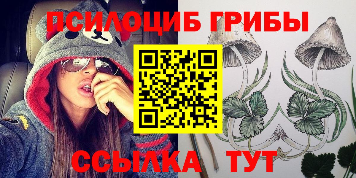 Галлюциногенные грибы GOLDEN TEACHER  Галлюциногенные грибы MAGIC MUSHROOMS  закладка  Камышлов  Вход с VPN 