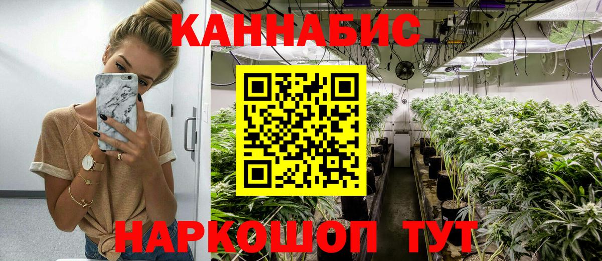 Бошки Шишки гибрид  Вход с VPN  Шишки марихуана Amnesia  Шишки марихуана конопля  Камышлов 